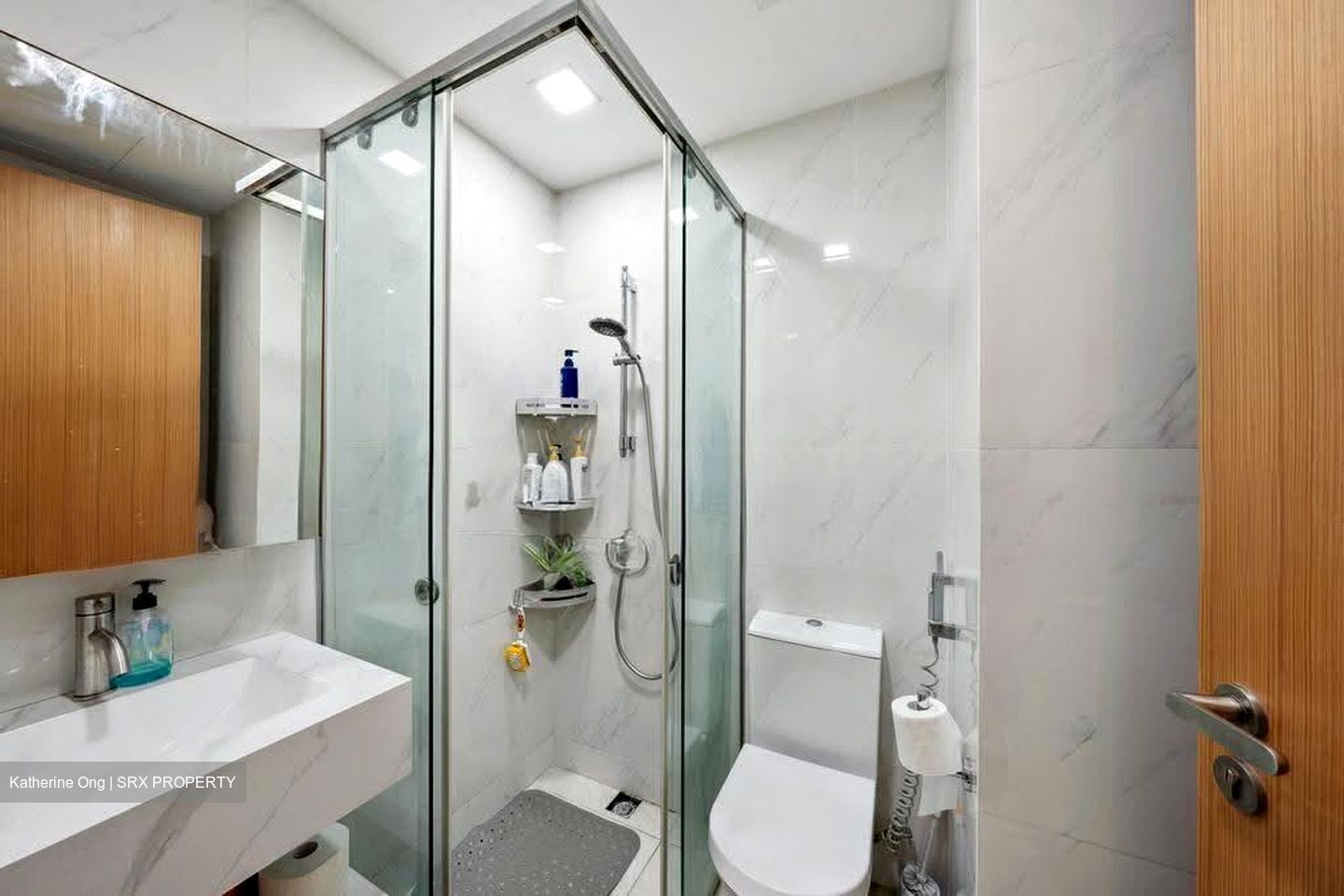 TRE Residences (D14), Condominium #617741471